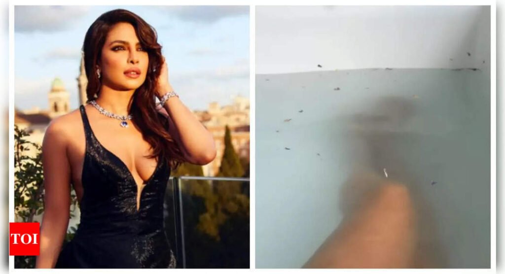 Priyanka Chopra sets the internet on fire with a steamy bathtub video | Filmymeet