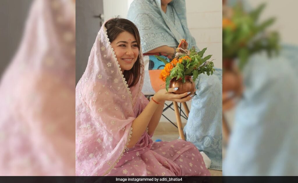 Inside Yeh Hai Mohabbatein Actress Aditi Bhatia