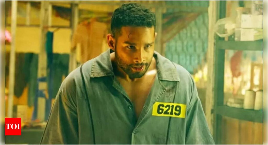 Yudhra Box Office Success: Siddhant Chaturvedi and Malvika Mohanan's Film Opens Strong with Rs 4.50 Crore | Filmymeet