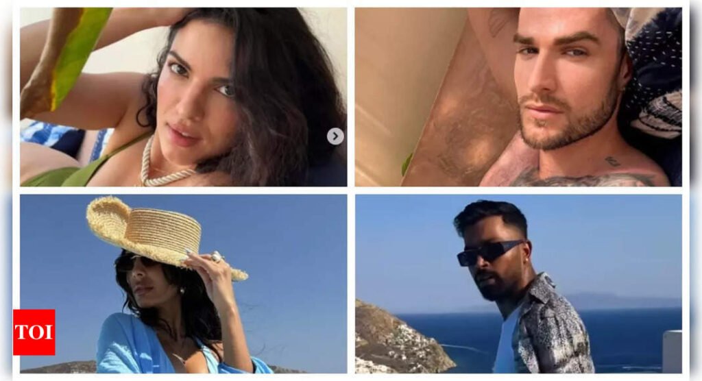 Did Natasa Stankovic and Aleksandar Alex take a dig at Hardik Pandya's rumoured romance with Jasmin Walia with their pool pics? | Filmymeet