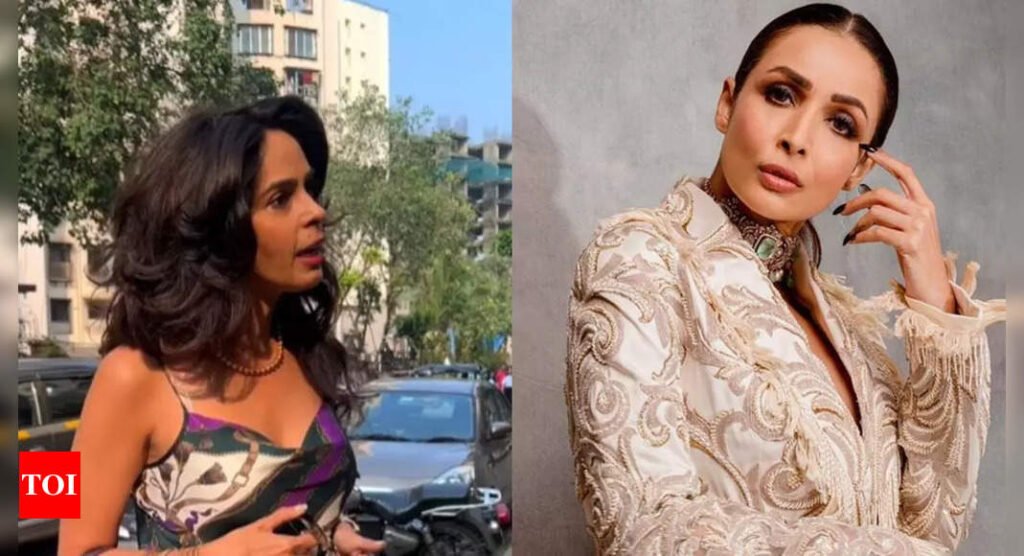 Mallika Sherawat gets called Malaika by a paparazzo, the actress reacts: 'Iske kaan kheencho' | Hindi Movie News Filmymeet