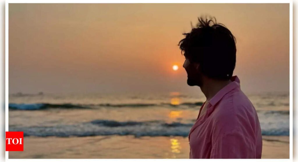 Kartik Aaryan celebrates birthday amid Goa’s sunset bliss; Fans swoon over his charm! | Hindi Movie News Filmymeet